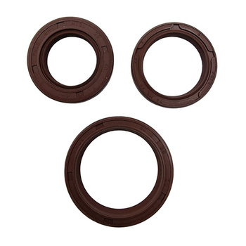 ARIETE KOMPLET USZCZELNIACZY SILNIKOWYCH PIAGGIO MP3 MAXI SPORT E4