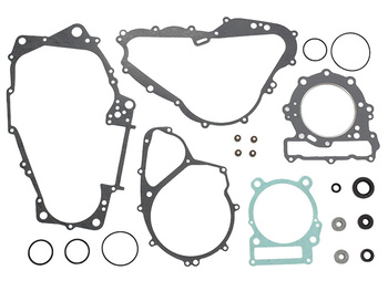 NAMURA KOMPLET USZCZELEK CAN AM (BOMBARDIER) DS 650 (00-07), BMW F 650 '93-'99 (ROTAX)