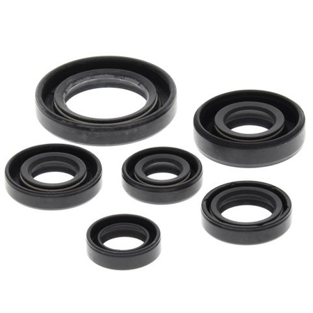 WINDEROSA (VERTEX) KOMPLET (ZESTAW) USZCZELNIACZY SILNIKOWYCH HONDA TRX300 EX 93-08, TRX300 X 09