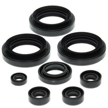 WINDEROSA (VERTEX) KOMPLET (ZESTAW) USZCZELNIACZY SILNIKOWYCH SUZUKI LT-F300F KING QUAD 99-02, LT-F4WDX KING QUAD 300 91-98