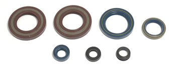 ATHENA KOMPLET (ZESTAW) USZCZELNIACZY SILNIKOWYCH KTM LC4 350/400/600`87-94, DUKE620`94-98, EGS620`94-98