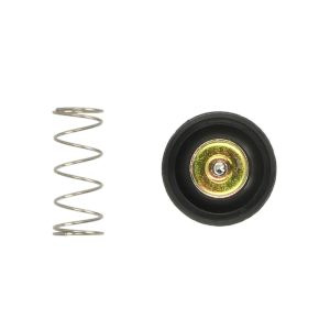 TOURMAX ZESTAW NAPRAWCZY ZAWORU AIR CUT HONDA VT 600C SHADOW '99-07, VTX 1300C '04-07, R '05-07, S '03-07 (30MM) (16048-MZ8-H00) (MADE IN JAPAN)
