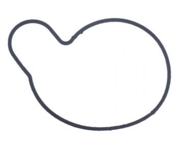 ATHENA USZCZELKA OBUDOWY POMPY WODY SUZUKI VX 800 '90-'97, VL 800 '05-'17