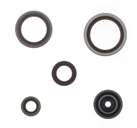 ATHENA KOMPLET (ZESTAW) USZCZELNIACZY SILNIKOWYCH BETA 250/300 RR '14-'17 (ZASTĘPUJE P400060400011)