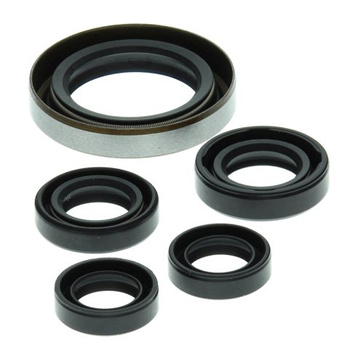 WINDEROSA (VERTEX) KOMPLET (ZESTAW) USZCZELNIACZY SILNIKOWYCH POLARIS OUTLAW 500 '06-'07, PREDATOR 500 '03-'07