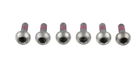 TRW ZF ŚRUBY TARCZY HAMULCOWEJ PRZÓD / TYŁ HONDA CB / CBF / CBR / CTX / DN-01 / GL 1500 / 1800 / NT / VFR / VTR / XL 1000 V VARADERO / NSA / STX (M6 X 1,00 DŁ. 21MM) (KPL. 6 SZT.)