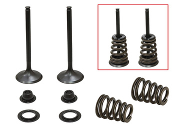 PSYCHIC 2024/03 ZAWORY SSĄCE (KOMPLET ZAWORÓW ZE SPRĘŻYNAMI I PODKŁADKAMI) HUSABERG FE 450 / 550 / 650, FS 650 '04-'08, KTM SXS 450 / 540 RACING '03-'04, EXC 450, SX 520 /525 '00-'07 (MX-09549I)