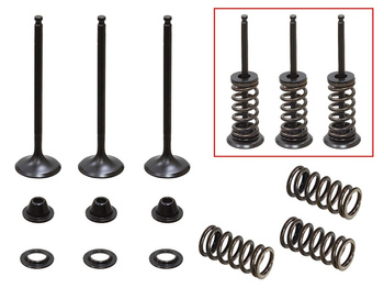 PSYCHIC 2024/08 ZAWORY SSĄCE (KOMPLET ZAWORÓW ZE SPRĘŻYNAMI I PODKŁADKAMI) YAMAHA YZF 250 '01-'13, GAS GAS EC 250F '10-15, 300F '13-15 STALOWE (XU-09519I, XU-09522I) (23X3,99X78,6MM) (23X3,98X80,1MM)