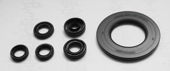 TOURMAX KOMPLET (ZESTAW) USZCZELNIACZY SILNIKOWYCH YAMAHA YZF 1000R '96-00, FZR 1000 '89-95 (MADE IN JAPAN)