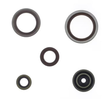 ATHENA KOMPLET (ZESTAW) USZCZELNIACZY SILNIKOWYCH BETA 250/300 RR '14-'17 (ZASTĘPUJE P400060400011)