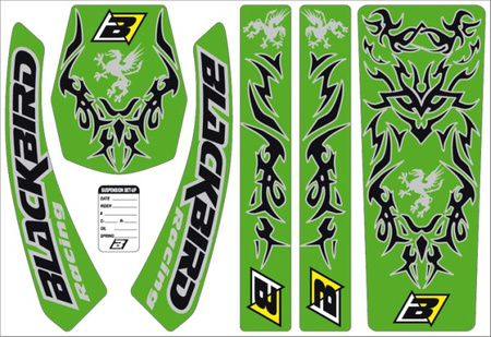 BLACKBIRD WYPRZEDAŻ KOMPLET NAKLEJEK (OKLEIN) GRYPHON KOLOR ZIELONY E5417