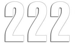 BLACKBIRD NUMERY STARTOWE 13CM X 7CM PROSTE, KOLOR BIAŁY NR2 (3SZT.)