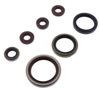 ATHENA KOMPLET (ZESTAW) USZCZELNIACZY SILNIKOWYCH SHERCO SE-R 250/300 14-20