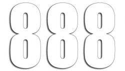 BLACKBIRD NUMERY STARTOWE 13CM X 7CM PROSTE, KOLOR BIAŁY NR8 (3SZT.)