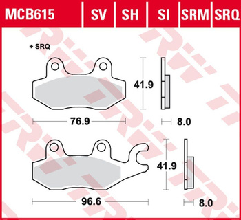 TRW ZF KLOCKI HAMULCOWE KH165 SINTER TRACK CAGIVA CANYON 900 '97-'00, ELEPHANT 900 '90-'93, NAVIGATOR 1000 '00-'05, KAWASAKI EX 250 '07-'14, EX 300 '13-'17, VERSYS 300 '17-, Z 300 '15-'17, NINJA 400 '18-, SUZUKI DR 800 BIG '91-'96, TYŁ