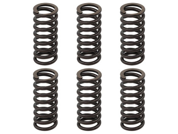 PSYCHIC SPRĘŻYNY SPRZĘGŁOWE KTM EXC 250 RACING '02-'05, EXC-F 250 '03-'04, EXC 400 '01-'07, SX/MXC '00-'02, EXC/MXC/SMR/SX 450/525 '03-'05, SMR 560 '06, (EBS094)