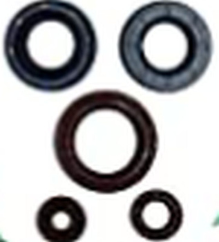 WINDEROSA (VERTEX) KOMPLET (ZESTAW) USZCZELNIACZY SILNIKOWYCH CAN-AM OUTLANDER DPS 450 EFI 15-20, OUTLANDER MAX DPS 450 EFI 15-20, DEFENDER 500 17-20, DEFENDER 500 DPS 17-20, DEFENDER 500 DPS CAMO 17, OUTLANDER MAX 450 6X6 19-20 - ZASTĘPUJE 822998