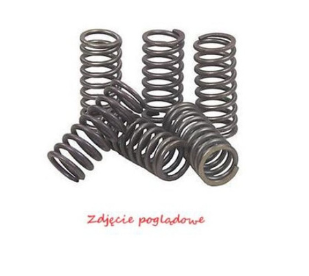 PSYCHIC SPRĘŻYNY SPRZĘGŁOWE KAWASAKI KLX 450R '08-'12, KX 450F '06-'11