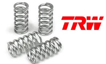 TRW ZF SPRĘŻYNY SPRZĘGŁOWE BMW F 650 GS 08-12, F 700 GS 16-20, F 800 GS / GS ADVENTURE 08-15, F 800 GT 13-16, F 800 R 09-20, F 800 S 07-10, F 800 ST 06-12, (EBS240)