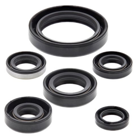WINDEROSA (VERTEX) KOMPLET (ZESTAW) USZCZELNIACZY SILNIKOWYCH KAWASAKI KLX250R 94-96, KLX250S 06-18, KLX250SF 09-10, KLX300(R) 97-07