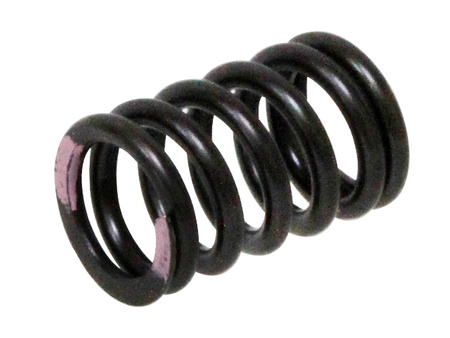 PSYCHIC SPRĘŻYNA ZAWORU SSĄCEGO KAWASAKI KXF 250 '11-'16 (XU-09539IS)