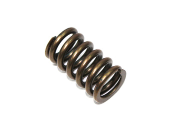 PSYCHIC SPRĘŻYNA ZAWORU SSĄCEGO KAWASAKI KXF 450 '06-'17, KFX 450R '08-14, KLX 450R '08-17 (MX-09528IS)