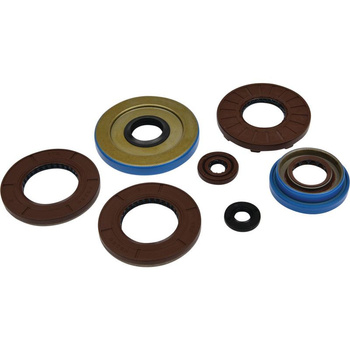 WINDEROSA (VERTEX) KOMPLET (ZESTAW) USZCZELNIACZY SILNIKOWYCH POLARIS SPORTSMAN 325 ETX EFI 15, RANGER 325 ETX 15-16, HAWKEYE 325 15, ACE 325 14-16