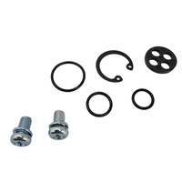 BEARING WORX ZESTAW NAPRAWCZY KRANIKA KAWASAKI EL 250 '88-'94, VN 1500A '87-'99, VN 1500B '87-'90, VN 1500C '96-'97, VN 1500D CLASSIC '96, (60-1096)