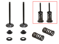 PSYCHIC 2024/03 ZAWORY WYDECHOWE (KOMPLET ZAWORÓW ZE SPRĘŻYNAMI I PODKŁADKAMI) HUSQVARNA FE 350 '14-'19, KTM EXCF / XCF-W 350 '12-'18 STALOWY (MX-09555E) (29X5,4X89,2MM)