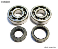 BEARING WORX ŁOŻYSKA WAŁU KORBOWEGO Z USZCZELNIACZAMI YAMAHA YZ 125 86-00 (NTN) (MADE IN JAPAN) (24-1024)