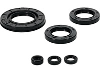 WINDEROSA (VERTEX) KOMPLET (ZESTAW) USZCZELNIACZY SILNIKOWYCH HONDA PIONEER 1000 16-21, TALON 1000X SXS1000S2X 19-21,