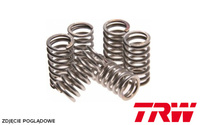 TRW ZF SPRĘŻYNY SPRZĘGŁOWE KAWASAKI KX 80 98-00, KX 85 01-20, KX 100 98-09, BN 125 ELIMINATOR 97-07, HONDA CG 125 85-08, NX 125 TRANSCITY 89-98, XR 125 03-08, CX 500 79-86, GL 500 SILVERWING 81-82, SUZUKI RM 100 03, (EBS041)