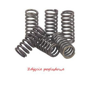 PSYCHIC SPRĘŻYNY SPRZĘGŁOWE KAWASAKI KLX 450R '08-'12, KX 450F '06-'11