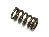 PSYCHIC SPRĘŻYNA ZAWORU WYDECHOWEGO YAMAHA YZF 250 '01-'13 / WRF 250 '01-'13, GAS GAS EC 250F (10-15), 300F (13-15) (MX-09519ES)