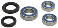 ALL BALLS ŁOŻYSKA KOŁA TYLNEGO Z USZCZELNIACZAMI BMW G 310GS '18-'19, G 310R '18-'19