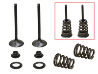 PSYCHIC 2024/03 ZAWORY SSĄCE (KOMPLET ZAWORÓW ZE SPRĘŻYNAMI I PODKŁADKAMI) HUSABERG FE 450 / 550 / 650, FS 650 '04-'08, KTM SXS 450 / 540 RACING '03-'04, EXC 450, SX 520 /525 '00-'07 (MX-09549I)