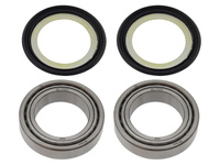 PSYCHIC ŁOŻYSKA GŁÓWKI RAMY Z USZCZELNIACZAMI BMW F 750/850GS, F 900R/XR, S 1000RR '15-'19, KAWASAKI VN 1500/1600/2000 '99-'10, ZX-11 '93-'01, ZX-7R '91-'03, ZX-9R '94-'99, Z 900R/RS '17-'21 (22-1031)