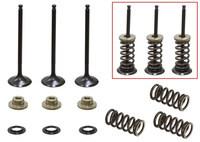 PSYCHIC 2024/08 ZAWORY SSĄCE (KOMPLET ZAWORÓW ZE SPRĘŻYNAMI I PODKŁADKAMI) YAMAHA WR 250 F (WRF 250) '01-'13 STALOWE (XU-09519I,XU-09522I) (23X3,99X78,6MM) (23x3,98x80,1MM)