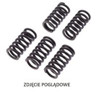 TRW ZF SPRĘŻYNY SPRZĘGŁOWE KAWASAKI KX 125 '03-'08, KX 250F '04-,