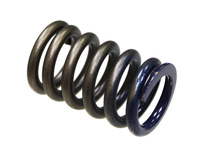 PSYCHIC SPRĘŻYNA ZAWORU SSĄCEGO HONDA CRF 450R '02-'08, TRX 450R '06-'09 (MX-09502IS)