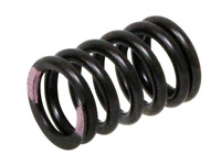 PSYCHIC SPRĘŻYNA ZAWORU SSĄCEGO KAWASAKI KXF 250 '11-'16 (XU-09539IS)